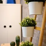 Apartamento Sebino 15 - Monolocale Cool