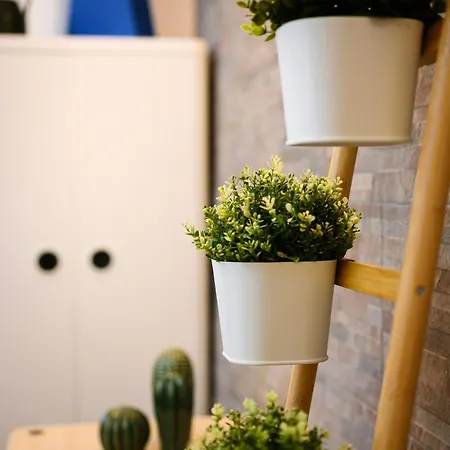 Appartement Sebino 15 - Monolocale Cool