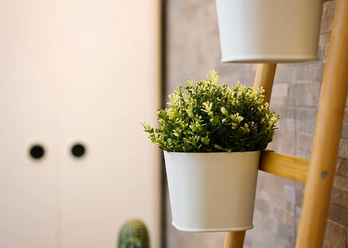 Apartament Sebino 15 - Monolocale Cool